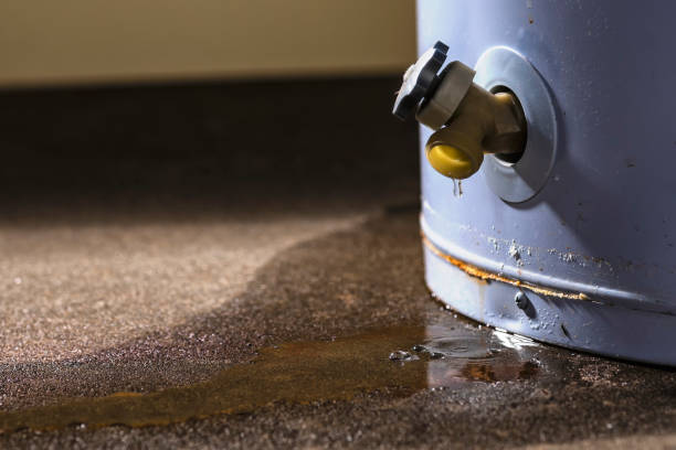 Best Water damage restoration services  in Midway, UT